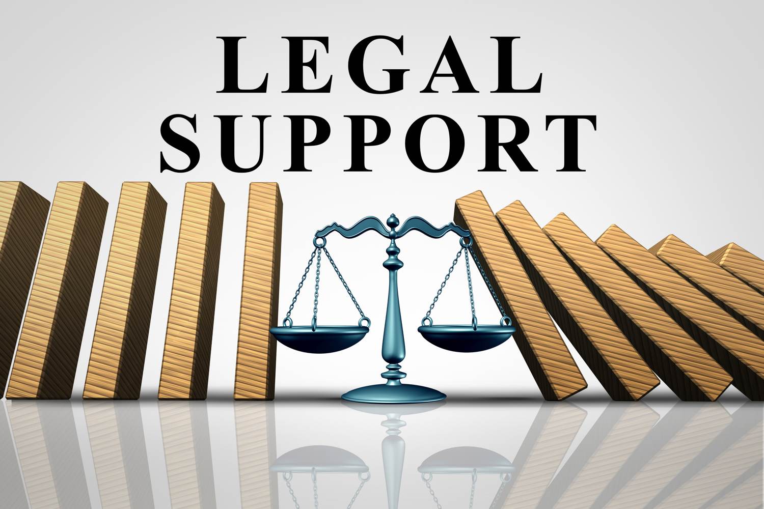 Legal Support In Public Procurement