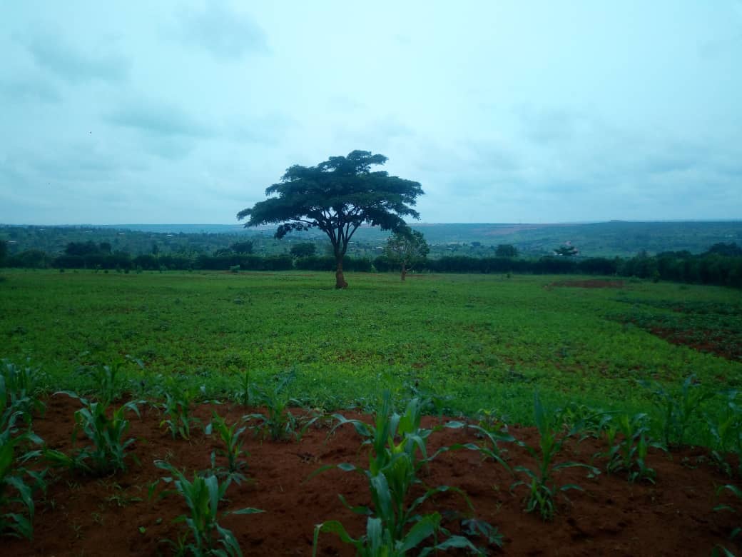 Land for Sale at Affordable Price